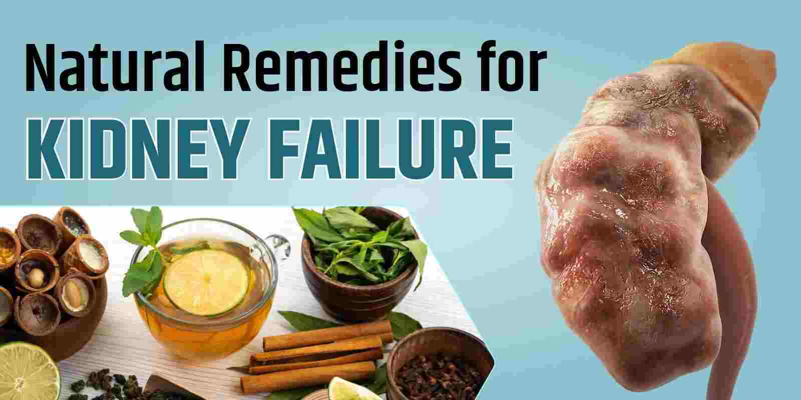 Natural Remedies for Kidney Failure